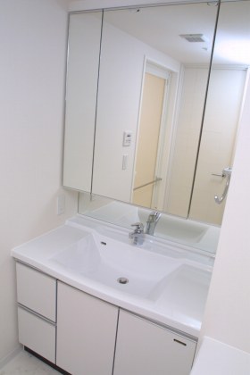 Washroom. Bathroom vanity