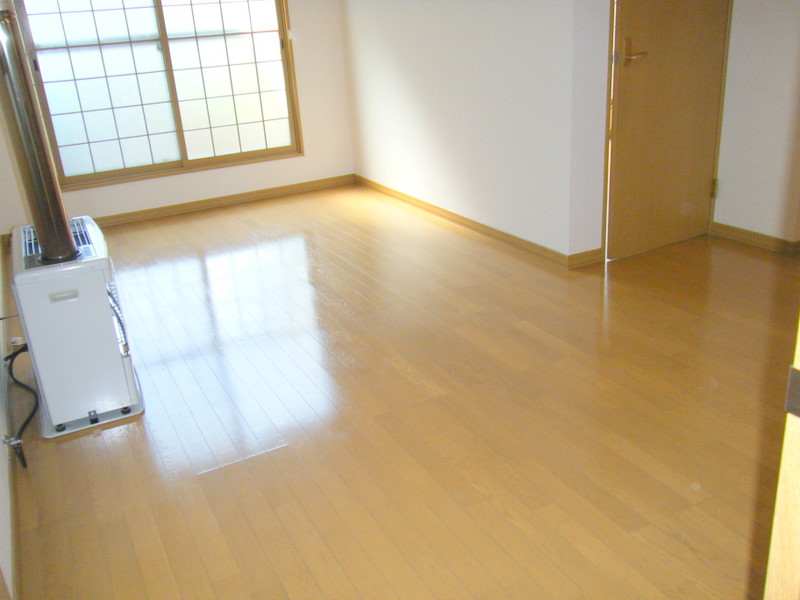 Living and room. All flooring