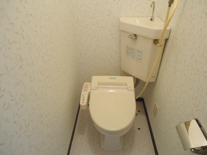 Toilet. Washlet toilet