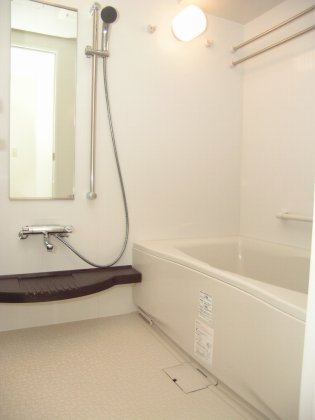 Bath. Spacious bathroom