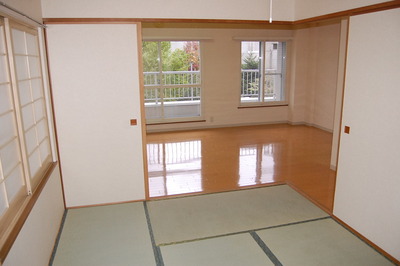 Other room space. Japanese style room