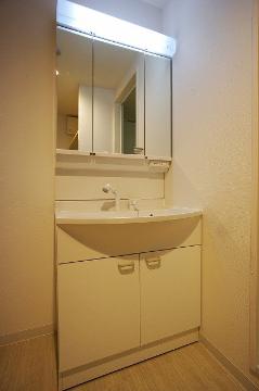 Washroom. Bathroom Vanity