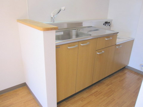 Kitchen. Muted colors of the kitchen