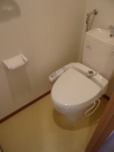 Toilet