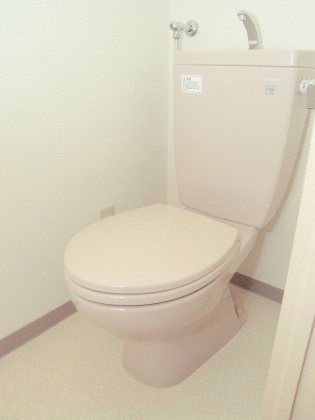 Toilet. It is beautiful in the pre-cleaning! ! 