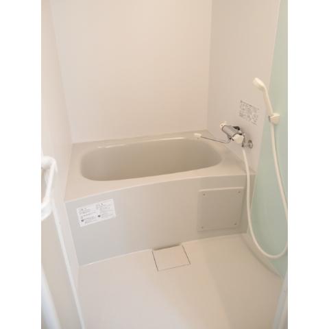 Bath. Spacious bathroom! It is with the bathroom dryer! 