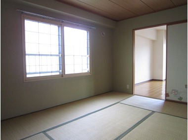 Other. It is a beautiful Japanese-style room