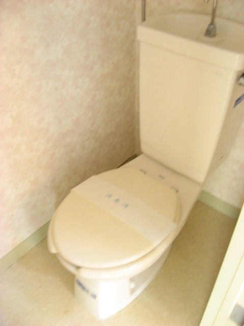 Toilet. I am feeling good with a clean toilet. 