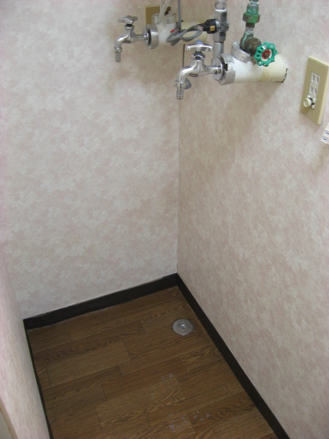 Washroom. There is also a firm space to put the washing machine! 