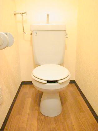 Toilet. It is beautiful in the pre-cleaning! ! 