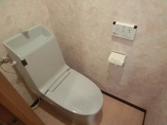 Toilet