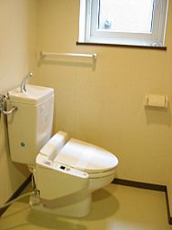 Toilet. With Washlet