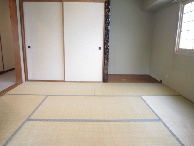 Other room space. It is still tatami if Japanese! 