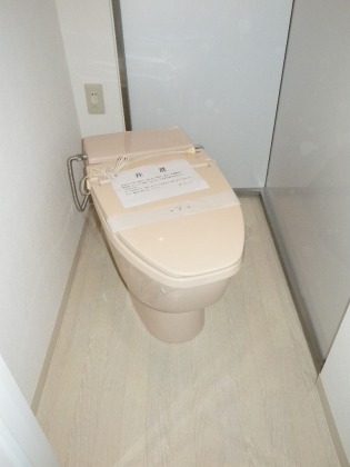 Toilet. Toilet