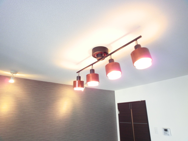 Other Equipment. Synonymous with ease of use, 5 series ceiling light