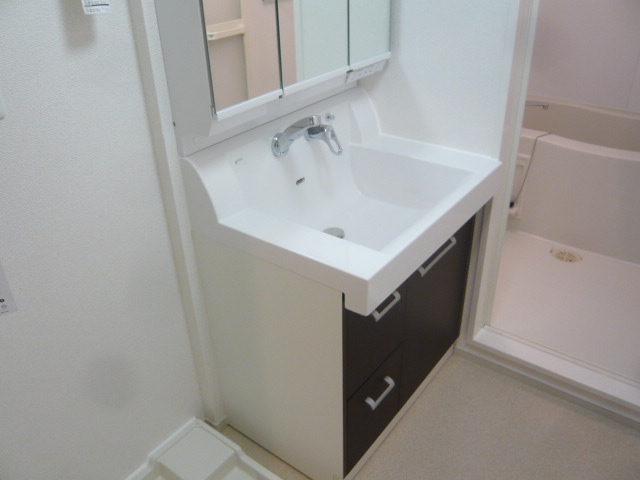 Washroom. It is the latest of shampoo dresser