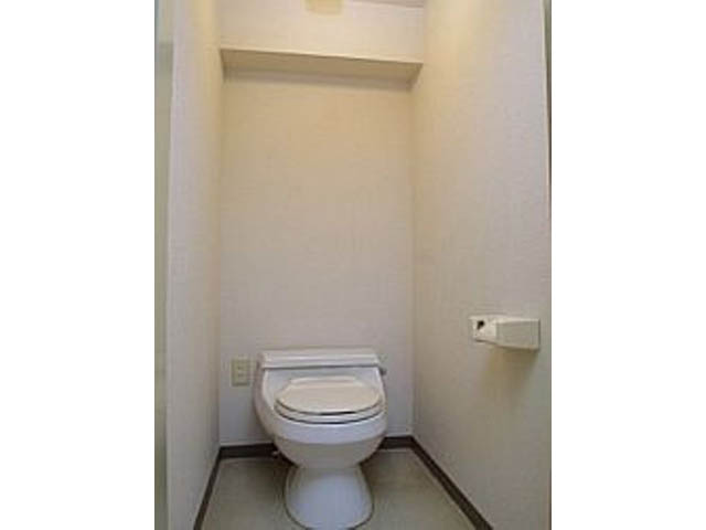 Toilet. Space with a cleanliness! 