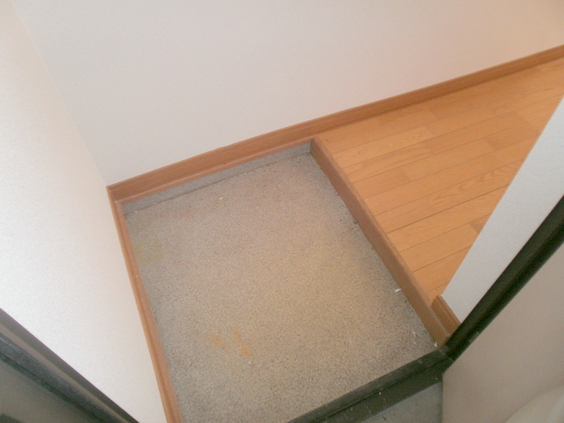 Entrance. Entrance hall is wide