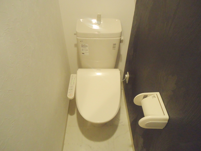 Toilet. Washlet toilet