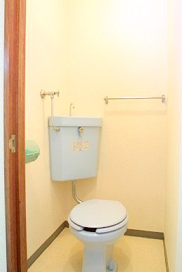 Toilet. It is very beautiful