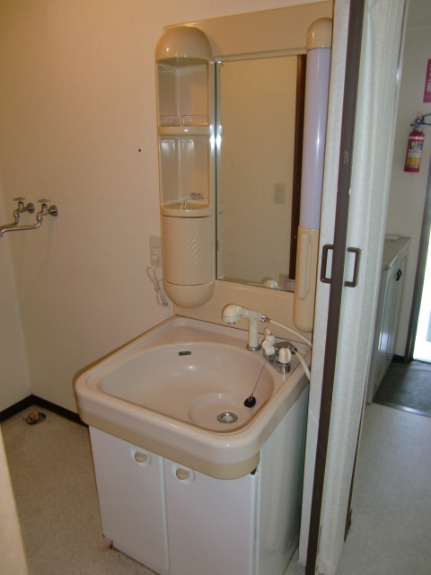 Washroom. Shampoo dresser equipped