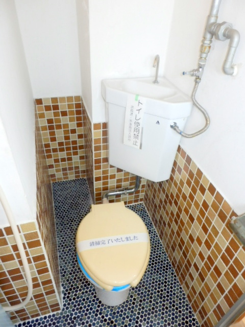 Toilet. It is beautifully cleaning being completed