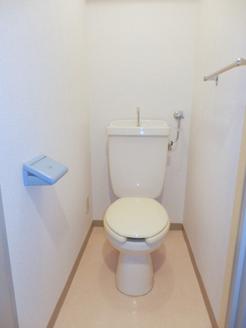 Toilet. It is beautifully cleaning being completed