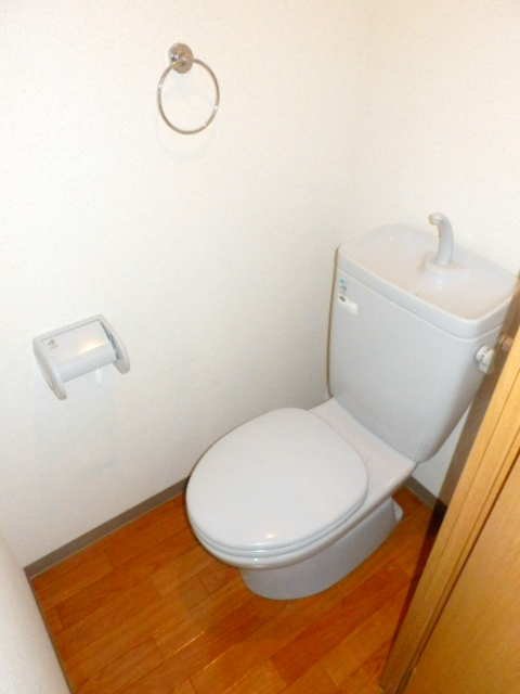 Toilet. It is beautifully cleaning being completed