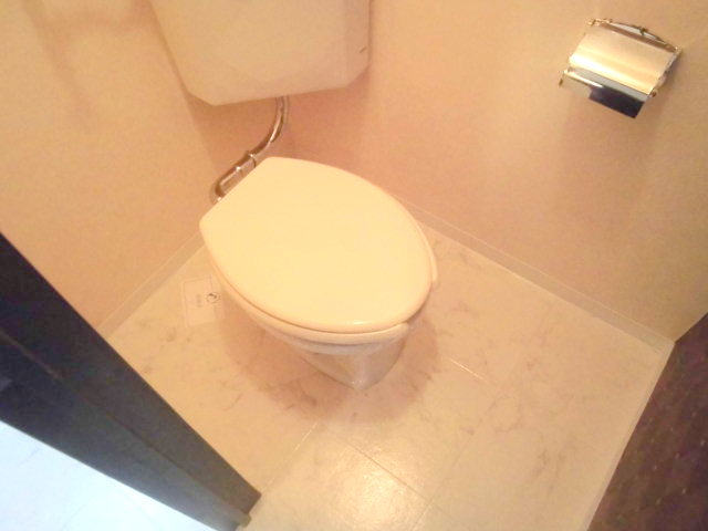 Toilet. Clean is clean already