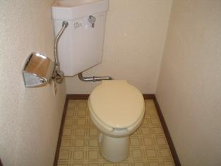 Toilet. Toilet