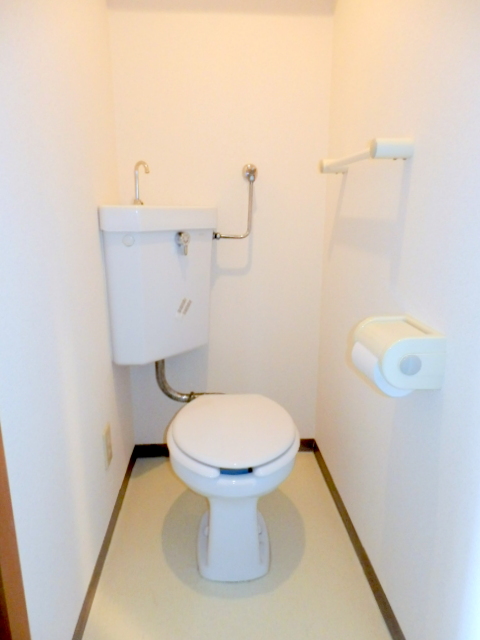 Toilet. It is beautifully cleaning being completed