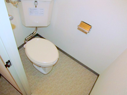 Toilet. It is beautifully cleaning being completed