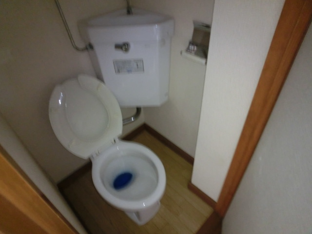 Toilet. 5, Room photo