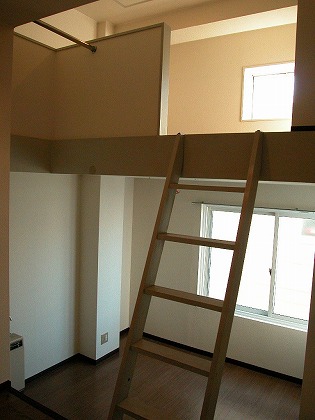 Other room space. Ladder is hard to fall because it looks like! 