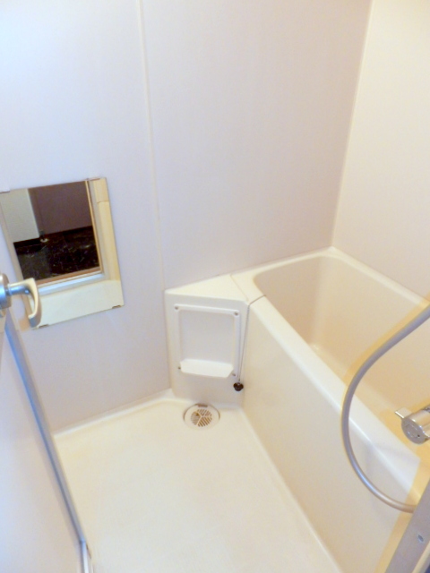 Bath. Spacious type of bath