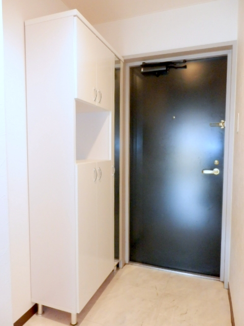 Entrance. Shoes with BOX of large capacity