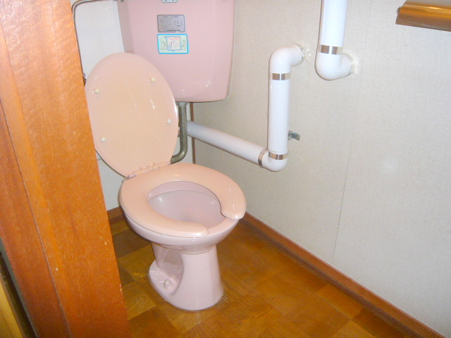 Toilet. Cute pink