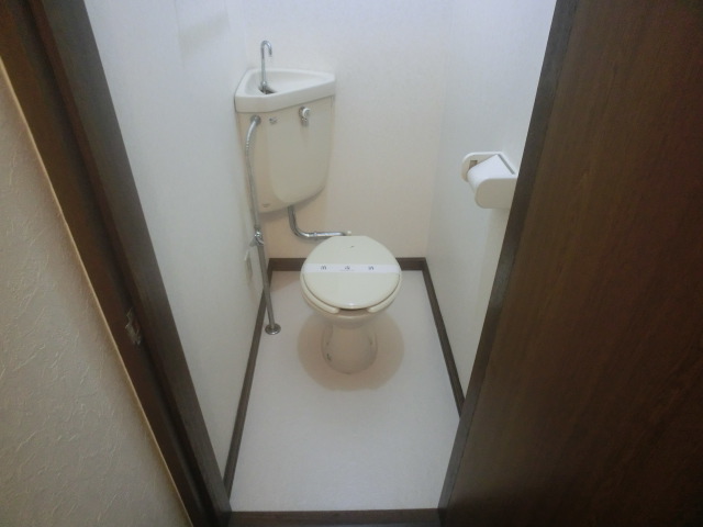 Toilet. Spacious toilet space