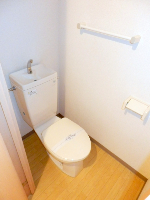 Toilet. It is beautifully cleaning being completed