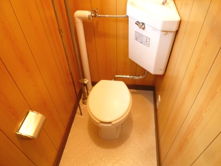 Toilet