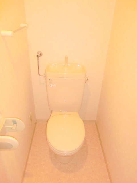 Toilet. Is properly cleaned already toilet