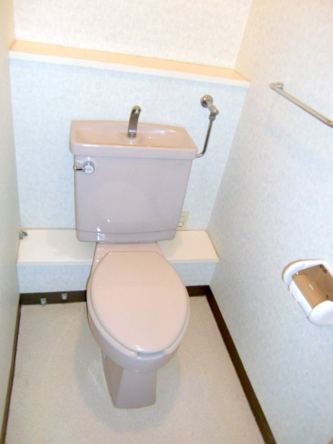 Toilet. It is beautifully cleaning being completed