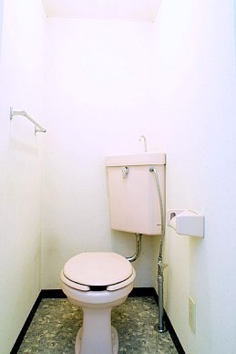 Toilet. It is beautifully cleaning being completed