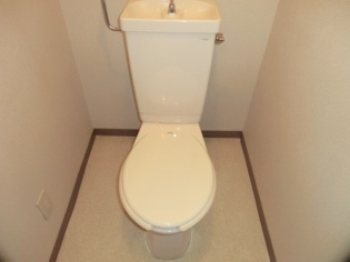 Toilet. Toilet with cleanliness