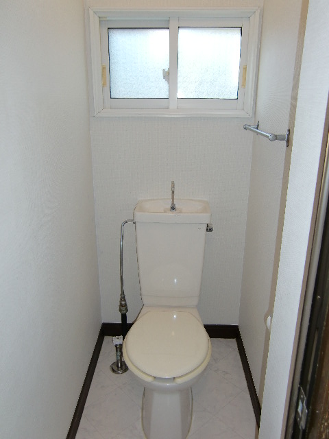 Toilet. Bright windows with toilet