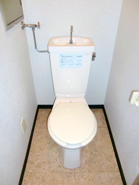 Toilet. It is beautifully cleaning being completed