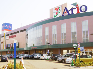Shopping centre. Ario until the (shopping center) 785m