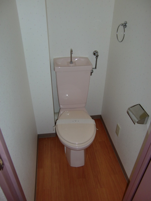 Toilet. It is beautifully cleaning being completed