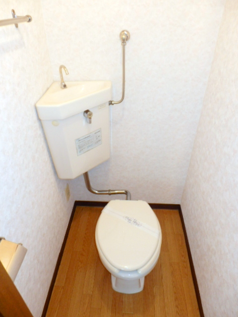 Toilet. It is beautifully cleaning being completed