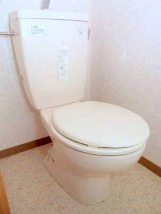 Toilet. It is beautifully cleaning being completed